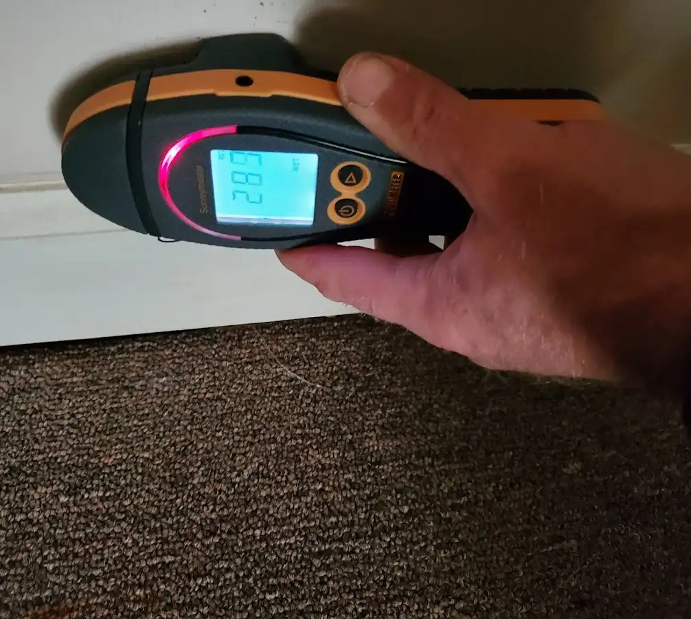 Moisture detection at baseboard during Sewage Cleanup & Sanitation in Maquoketa